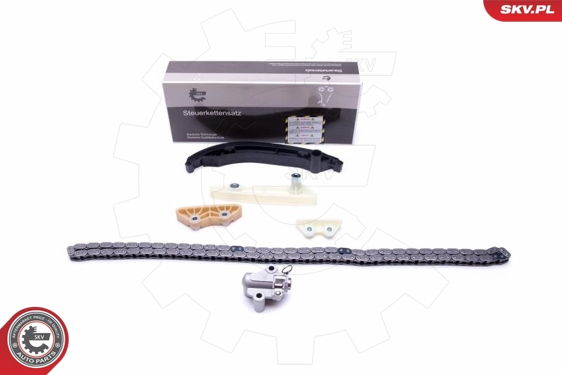 Timing Chain Kit